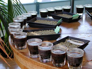 A Beginner's Guide to Coffee Cupping