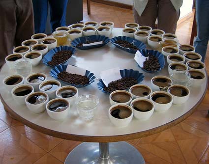 A Beginner's Guide to Coffee Cupping