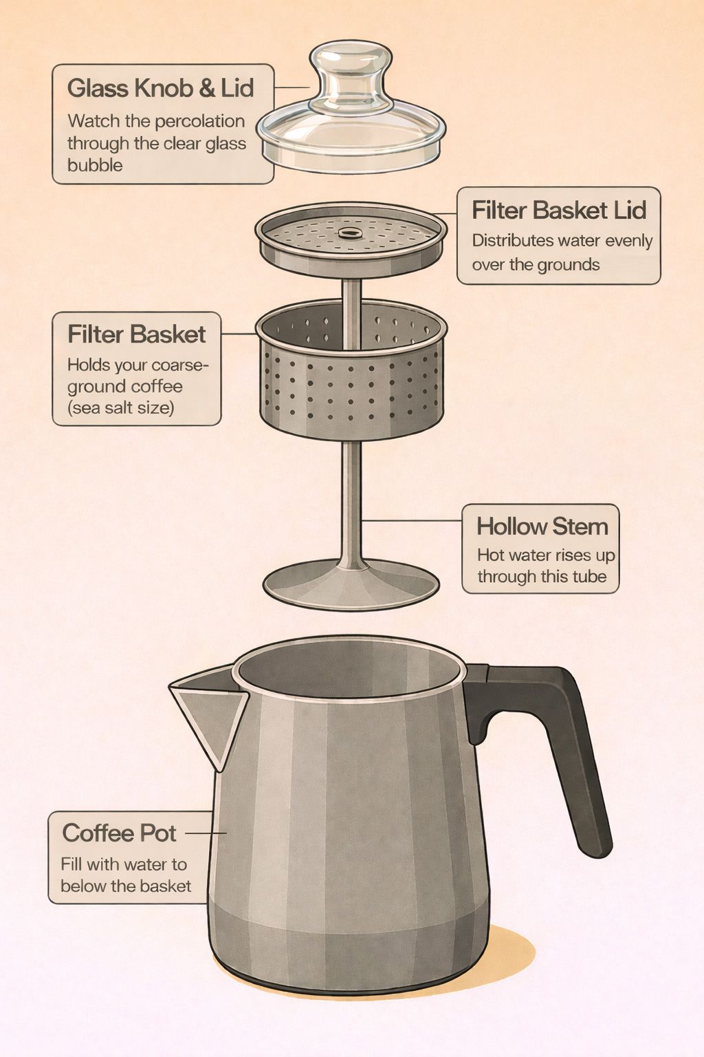 Disassembled coffee percolator showing all five parts: glass knob lid, filter basket cover, filter basket, hollow stem, and coffee pot