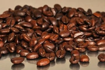 Coffee Beans – The Many Varieties of the Coffee Plant