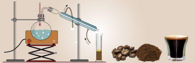 Science Of Coffee
