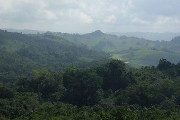 Jamaica Blue Mountain Coffee Bean – Coffee Around the World