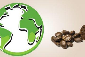 Toward Sustainable Coffee