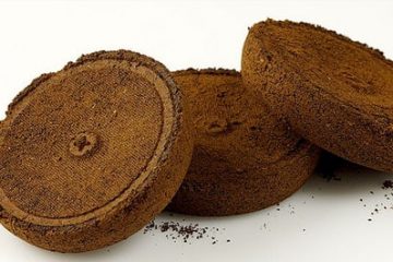 Coffee Grounds And Composting