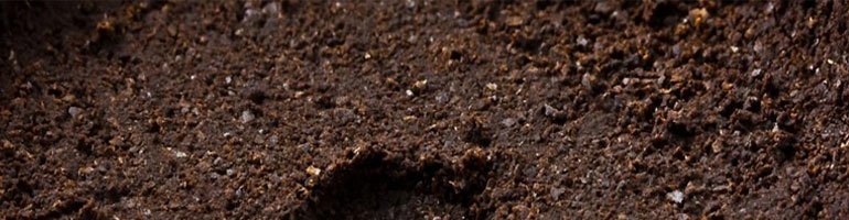 Run that Car on Coffee!