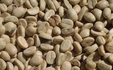 Why Green Coffee Beans Are A Bargain