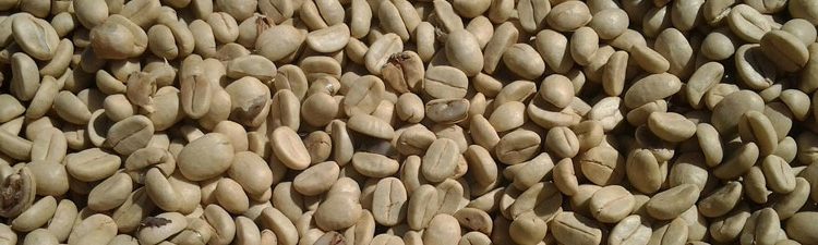Why Green Coffee Beans Are A Bargain