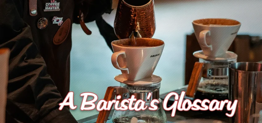 A barista pulling an espresso shot from a commercial machine illustrating barista terminology and workflow