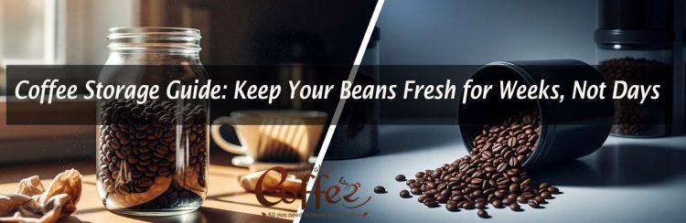 Coffee Storage Guide: Keep Your Beans Fresh for Weeks, Not Days