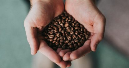Overhead view of two cupped hands holding a mound of medium-roast coffee beans against a soft teal background