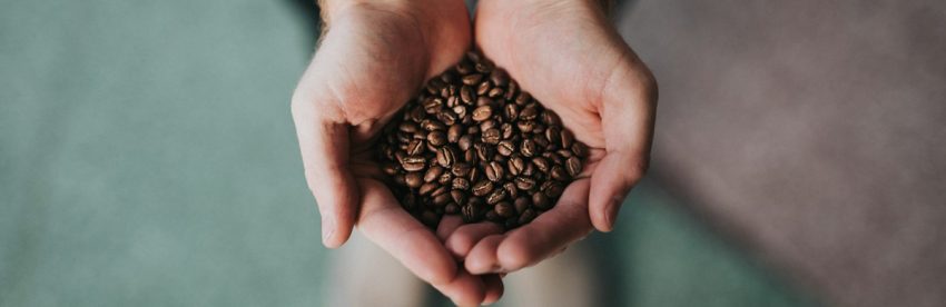 Overhead view of two cupped hands holding a mound of medium-roast coffee beans against a soft teal background