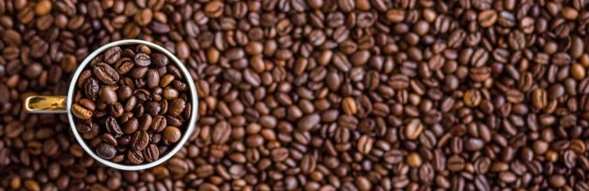 Overhead view of a white coffee cup filled with and surrounded by roasted coffee beans
