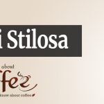 DeLonghi Stilosa Review: The $100 Espresso Machine That Actually Works