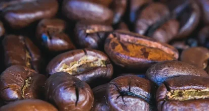 Close-up macro photograph of glossy dark roasted coffee beans piled together, showing the oils and cracks on their surface