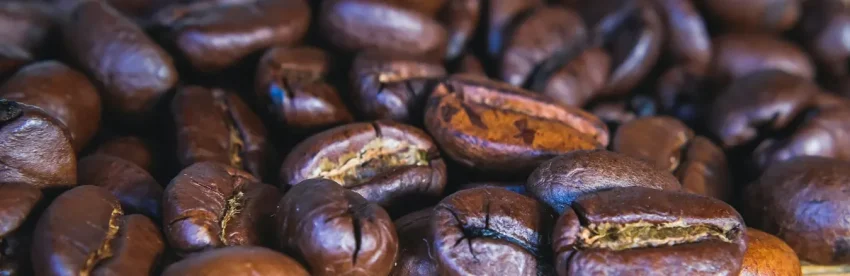 Close-up macro photograph of glossy dark roasted coffee beans piled together, showing the oils and cracks on their surface