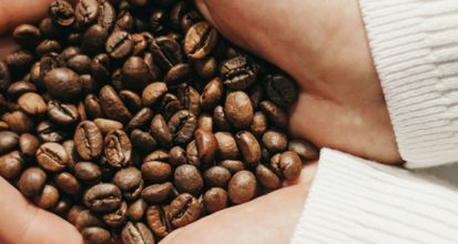 Two cupped hands in a cream knit sweater holding a generous handful of glossy medium roasted whole coffee beans