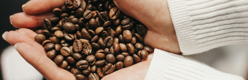 Two cupped hands in a cream knit sweater holding a generous handful of glossy medium roasted whole coffee beans