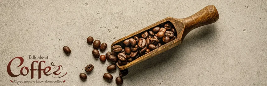 Dark roasted coffee beans spilling from a wooden scoop onto a pale stone surface, shot from above