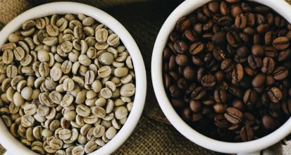 Green unroasted coffee beans next to freshly roasted dark brown beans in small ceramic bowls illustrating home coffee roasting