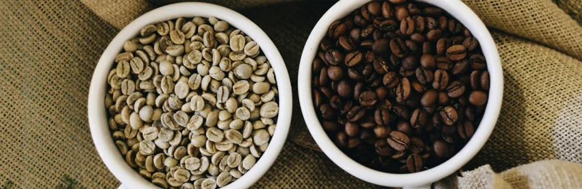 Green unroasted coffee beans next to freshly roasted dark brown beans in small ceramic bowls illustrating home coffee roasting