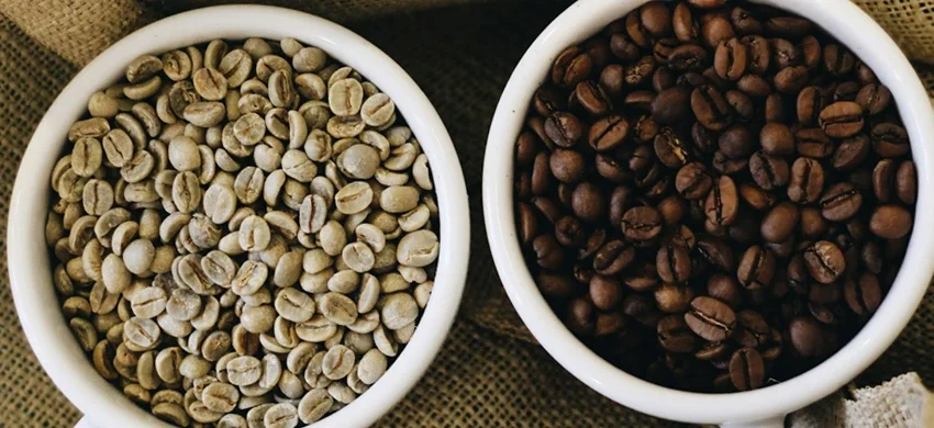 Green unroasted coffee beans next to freshly roasted dark brown beans in small ceramic bowls illustrating home coffee roasting