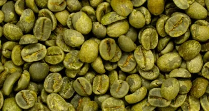 A close-up, full-frame view of raw unroasted green coffee beans, showing their pale olive color and the natural crease down each bean before any roasting begins