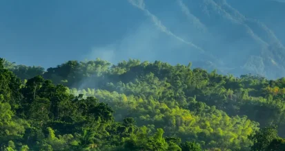 The misty, forested peak of the Blue Mountains in Jamaica, lit by sunlight breaking through clouds above a green tree line