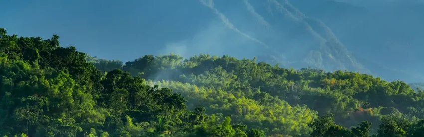 The misty, forested peak of the Blue Mountains in Jamaica, lit by sunlight breaking through clouds above a green tree line
