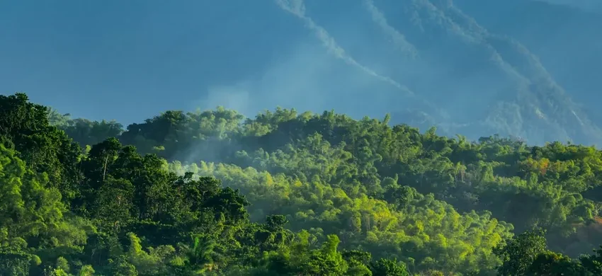 The misty, forested peak of the Blue Mountains in Jamaica, lit by sunlight breaking through clouds above a green tree line